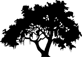 clip art of a silhouette of a live oak tree