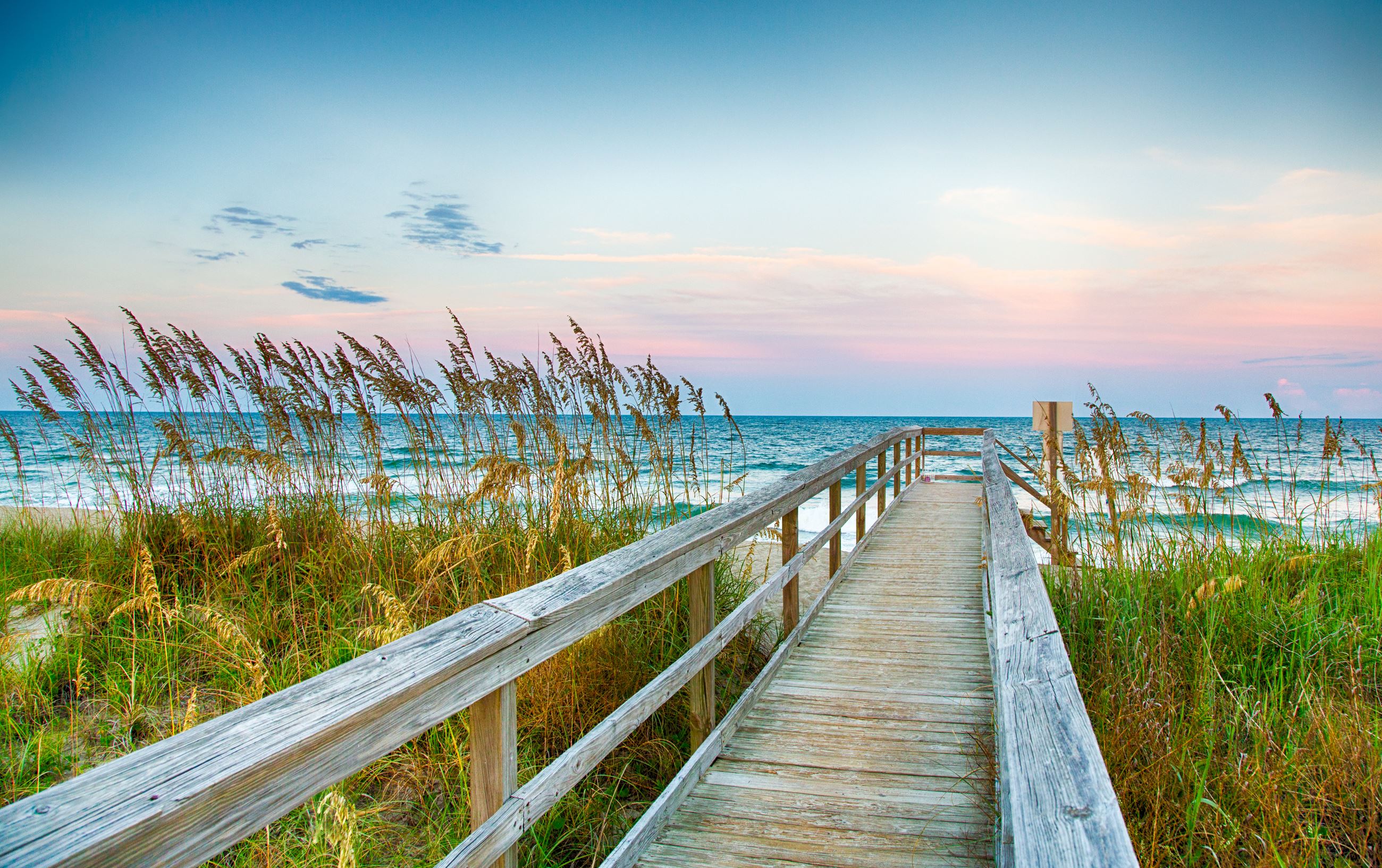beach access at dawn surrounded by sea oats.