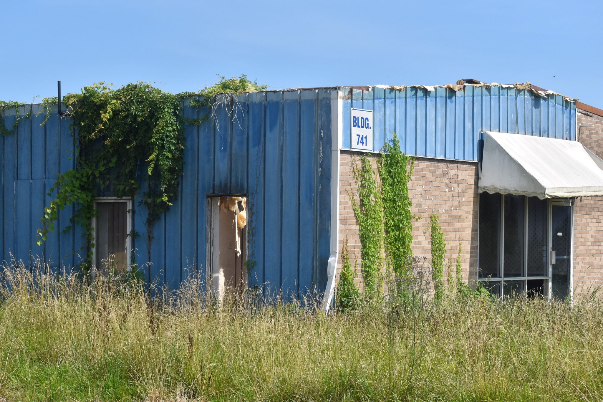 An overgrown abandoned building with busted windows and holes in the exterior walls