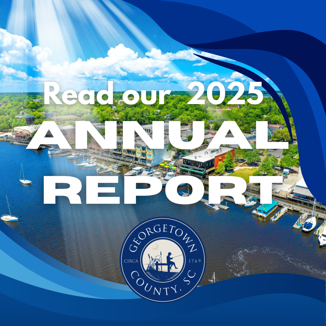 Sky view of the City of Georgetown with text \"Read our 2025 Annual Report\" overlaid.